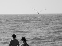 DSC03229-1