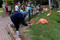IMG_5746-1