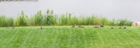_MG_3494-1