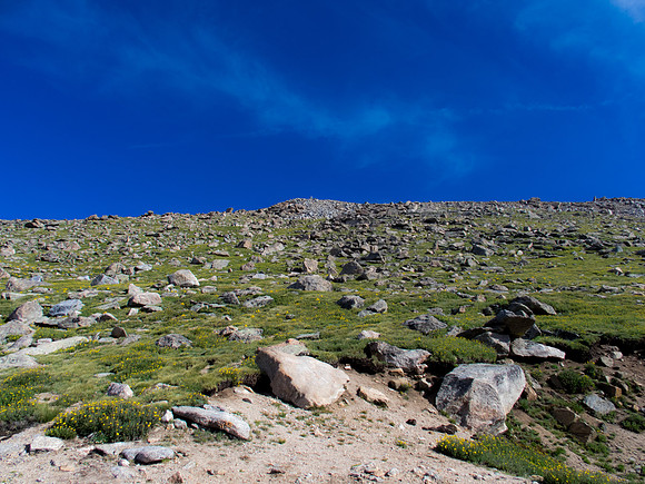 P7130296-1