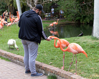 IMG_5729-1