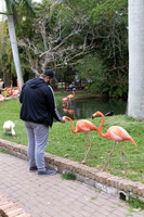 IMG_5728-1