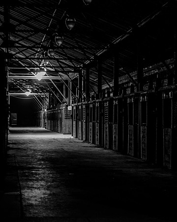 IMG_3715-1