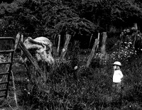 IMG_3486-1-6