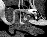 IMG_5024-1