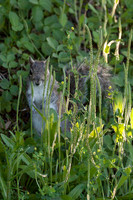 _MG_3054-1