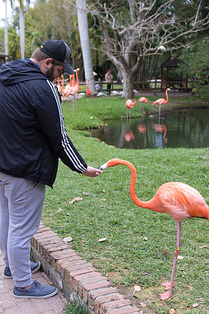 IMG_5727-1