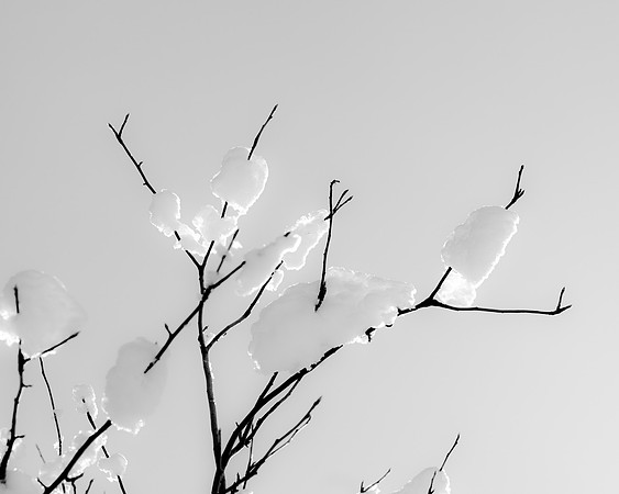 _MG_9875-1