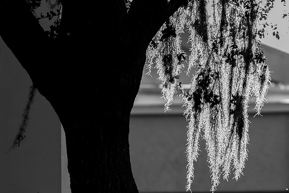 IMG_4406-1