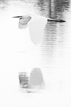 _MG_3149-1