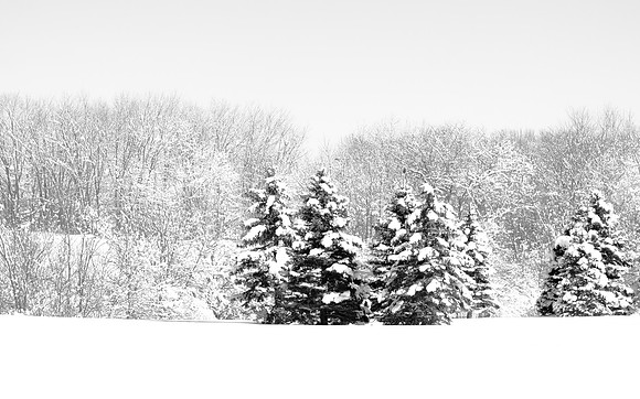 _MG_9959-1
