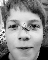 Henrichsen Bugs